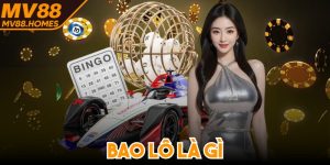 Bao Lô Là Gì - Giải Mã Hình Thức Giải Trí Lô Đề Hấp Dẫn
