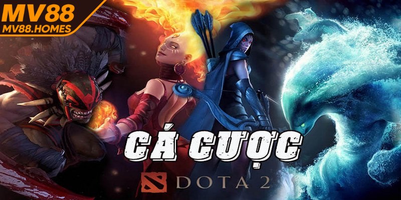 Cược vào các chỉ số có trong trận yêu cầu anh em phải nắm rõ trận đấu