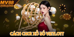 Cách Chơi Xổ Số Vietlott Chi Tiết Dành Cho Người Mới