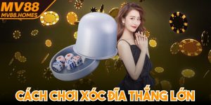 Cách Chơi Xóc Đĩa Thắng Lớn Chuyên Gia Chia Sẻ
