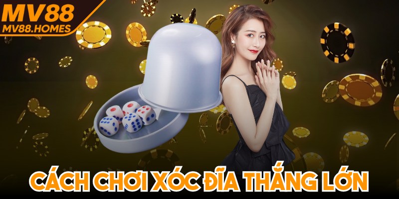 Cách Chơi Xóc Đĩa Thắng Lớn Chuyên Gia Chia Sẻ