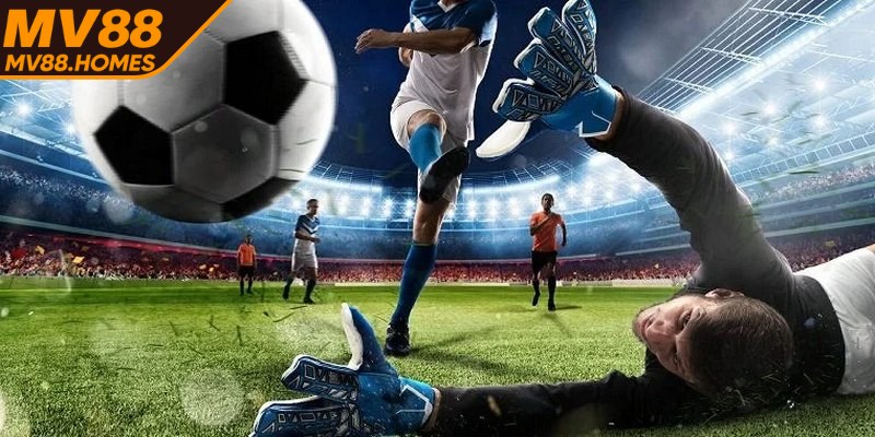 Kinh nghiệm hay từ cao thủ là nên ưu tiên cược vào kèo tài cùng kèo trên