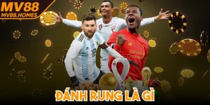 Đánh Rung Là Gì? Khám Phá Kèo Cá Cược Đầy Hấp Dẫn Này