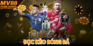 Đọc Kèo Bóng Đá - Bật Mí Các Cách Đọc Chi Tiết Cho Bạn
