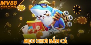 Mẹo Chơi Bắn Cá Hiệu Quả Giúp Tăng Tỷ Lệ Thắng Tuyệt Đối